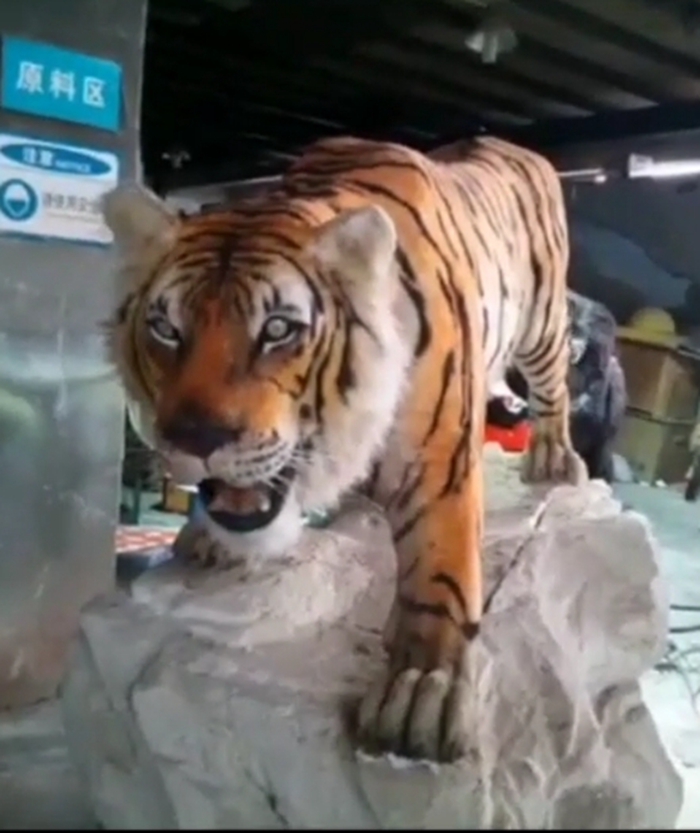 机模类